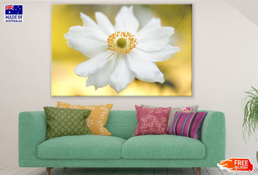 White Anemone Flower Closeup Photograph Print 100% Australian Made