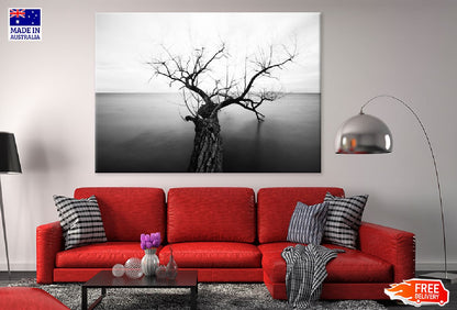 Tree with Bare Branch on Sea B&W Photograph Print 100% Australian Made