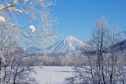 Snow Covered Forest & Mountain Scenery Photograph Print 100% Australian Made