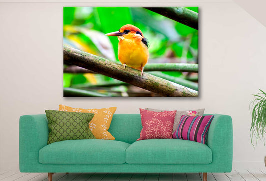 Bella Home Kingfisher on Tree Branch Closeup Print Canvas Ready to hang