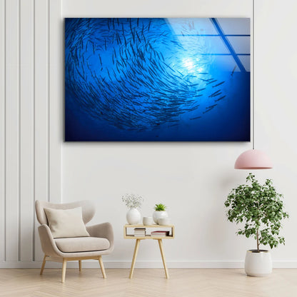 Fish Underwater Photograph Acrylic Glass Print Tempered Glass Wall Art 100% Made in Australia Ready to Hang