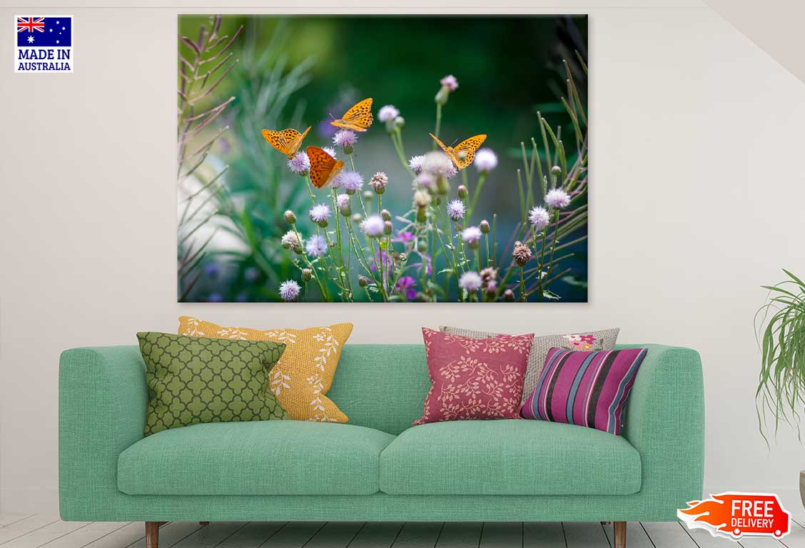 Butterflies on Flower Buds View Photograph Print 100% Australian Made