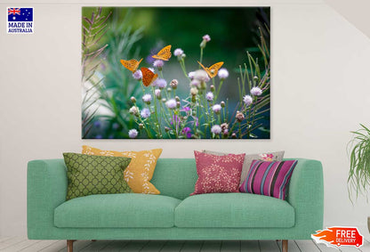 Butterflies on Flower Buds View Photograph Print 100% Australian Made