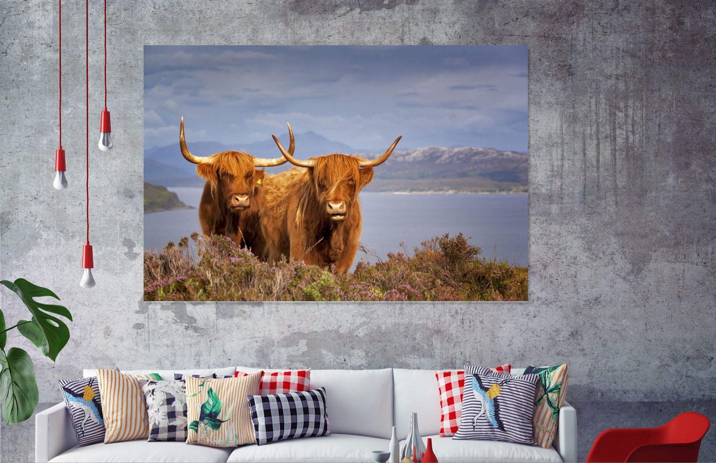 Highland Cow Print 100% Australian Made