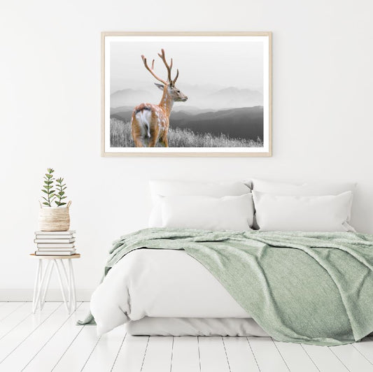 Deer on B&W Field Photograph Home Decor Premium Quality Poster Print Choose Your Sizes