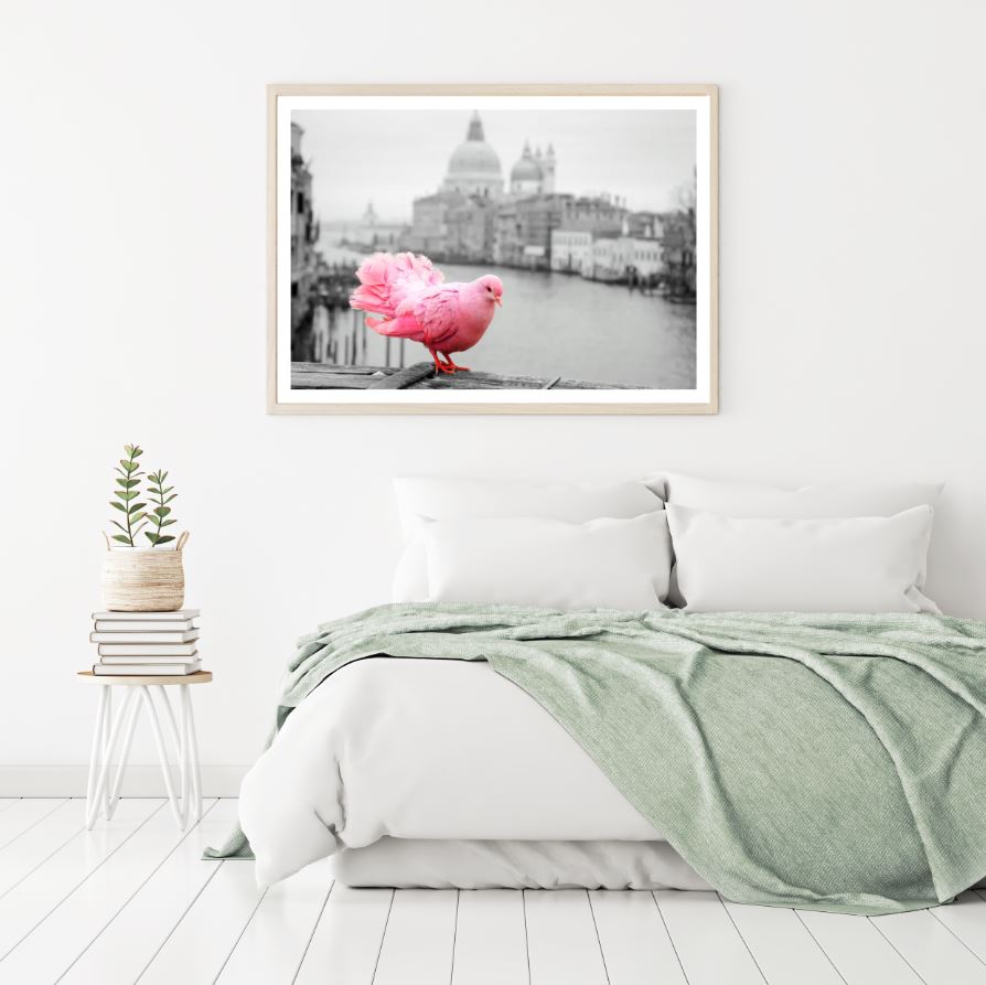 Pink Pigeon and City B&W Photograph Home Decor Premium Quality Poster Print Choose Your Sizes