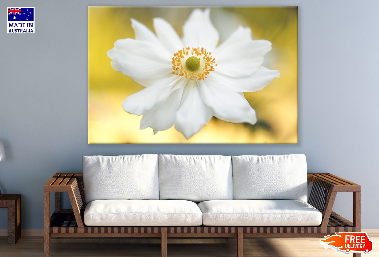 White Anemone Flower Closeup Photograph Print 100% Australian Made