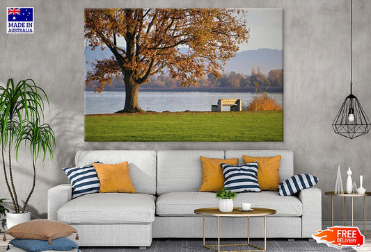 Autumn Tree & Bench Near Lake Photograph Print 100% Australian Made