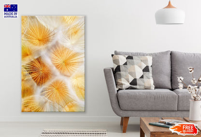 Golden Dandelion Closeup Photograph Print 100% Australian Made