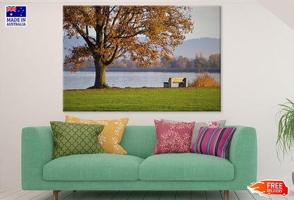 Autumn Tree & Bench Near Lake Photograph Print 100% Australian Made