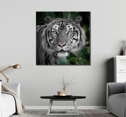 Square Canvas Leopard with Blue Eyes High Quality Print 100% Australian Made