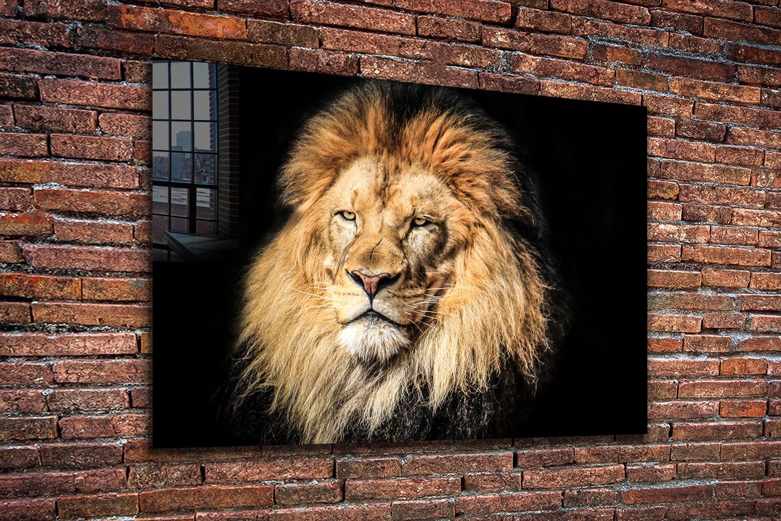 Lion Face Closeup View Print Tempered Glass Wall Art 100% Made in Australia Ready to Hang