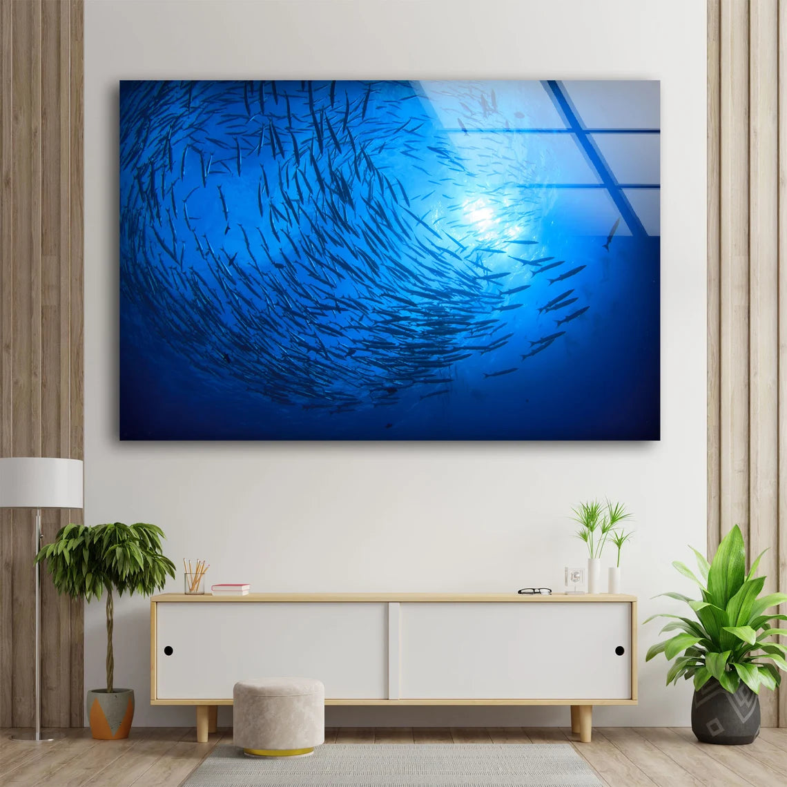 Fish Underwater Photograph Acrylic Glass Print Tempered Glass Wall Art 100% Made in Australia Ready to Hang