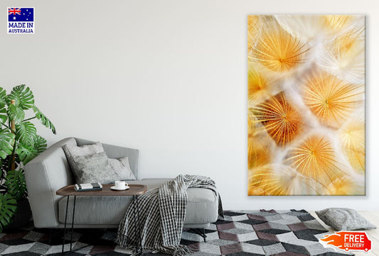 Golden Dandelion Closeup Photograph Print 100% Australian Made