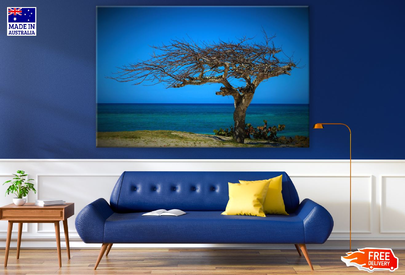 Old Dead Tree Near Sea Photograph Print 100% Australian Made