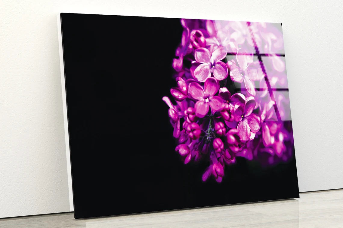 Pink Flowers Photograph Acrylic Glass Print Tempered Glass Wall Art 100% Made in Australia Ready to Hang