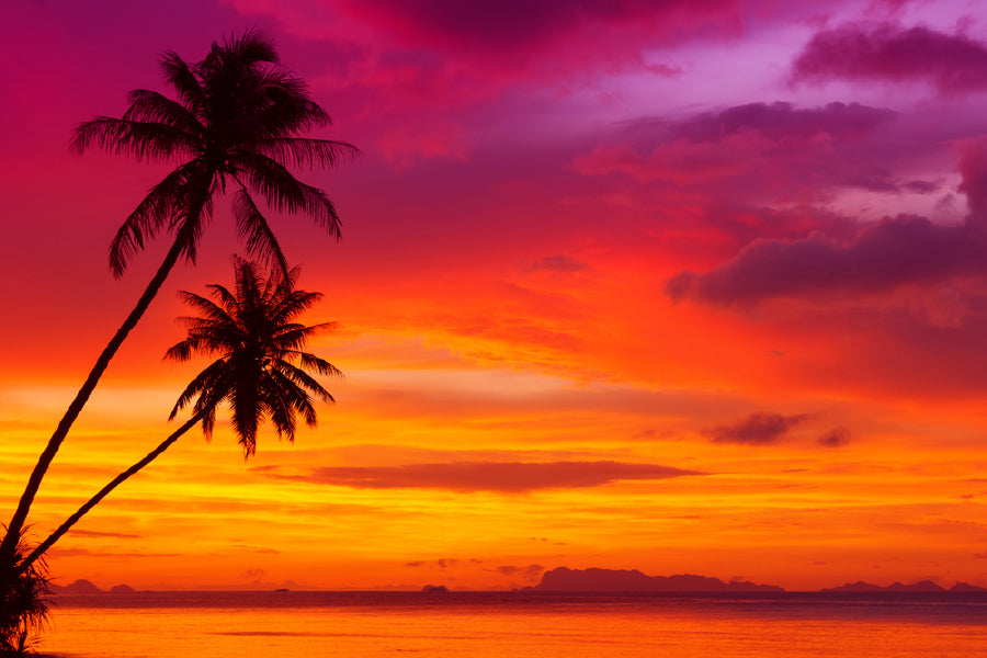 Two Palm Trees on Sunset Beach View Photograph Print 100% Australian Made