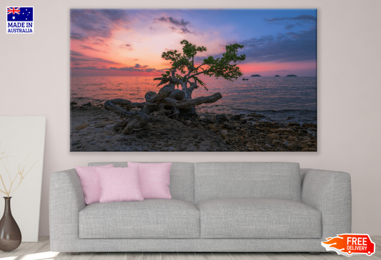 Tree & Sea Sunset Scenery Photograph Print 100% Australian Made