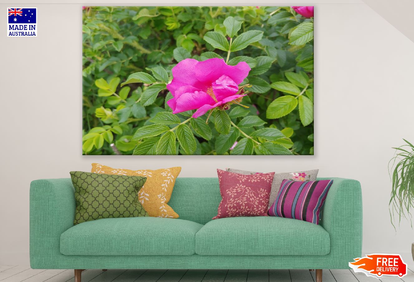 Beach Rose with Tree Photograph Print 100% Australian Made