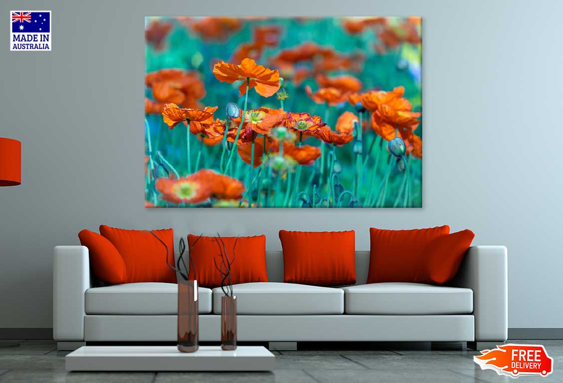 Orange Poppy Flower Field View Photograph Print 100% Australian Made