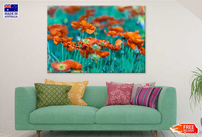 Orange Poppy Flower Field View Photograph Print 100% Australian Made