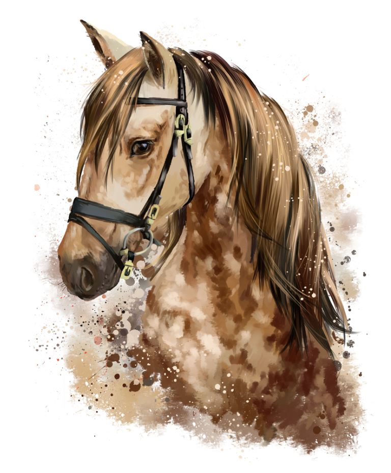Horse Head Portrait Watercolour Painting Print 100% Australian Made