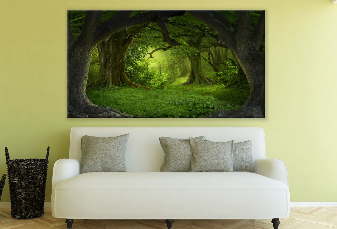 Green Forest view Photograph Print 100% Australian Made