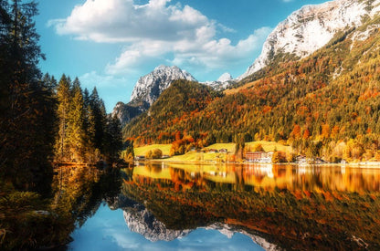Lake & Forest Scenery Photograph Home Decor Premium Quality Poster Print Choose Your Sizes