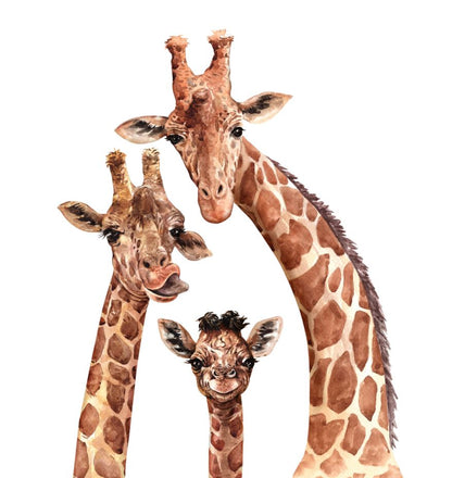 Giraffe Family Portrait Print 100% Australian Made