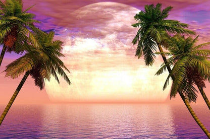 Moon View at Beach with Palm Trees Photograph Print 100% Australian Made