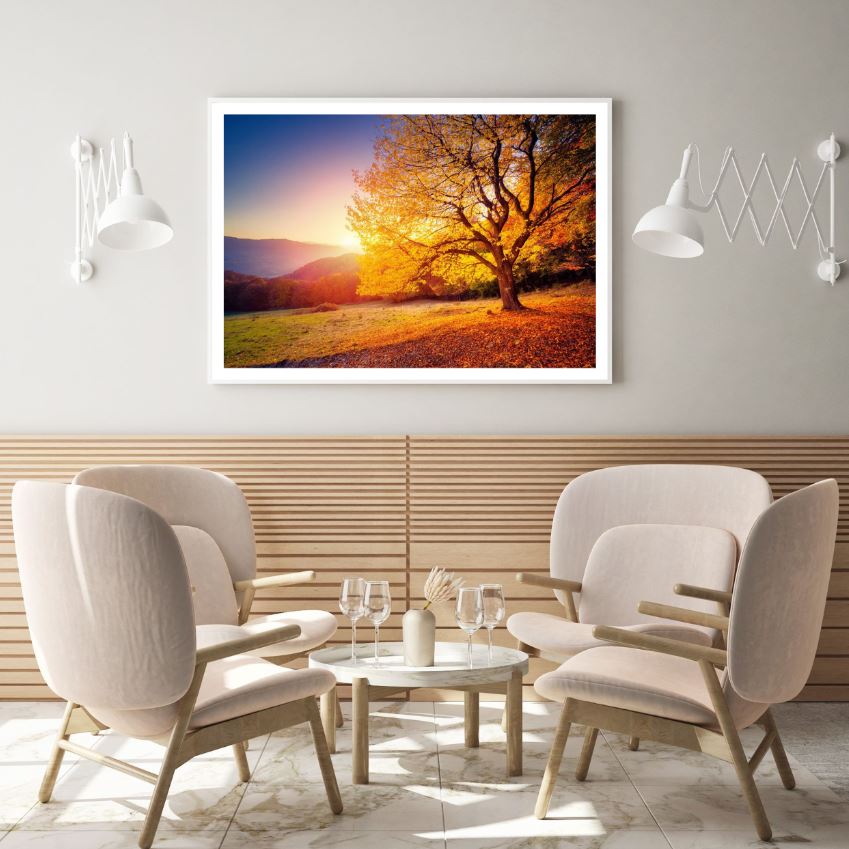 Autumn Tree at Sunset Photograph Home Decor Premium Quality Poster Print Choose Your Sizes