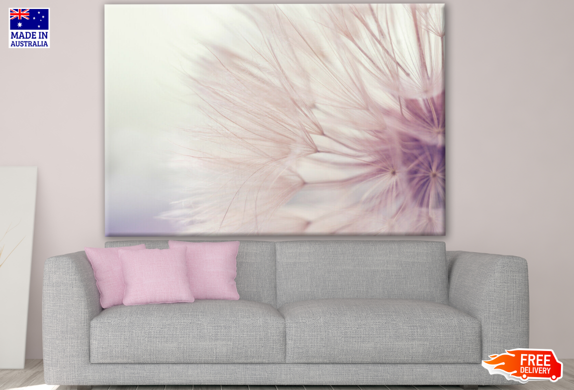 Dandelion Flower Closeup Photograph Print 100% Australian Made