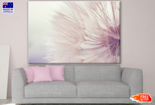 Dandelion Flower Closeup Photograph Print 100% Australian Made