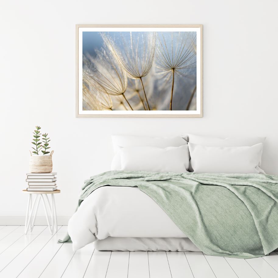 Dandelion Flowers Closeup View Home Decor Premium Quality Poster Print Choose Your Sizes