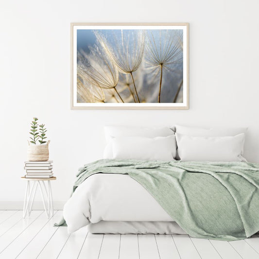 Dandelion Flowers Closeup View Home Decor Premium Quality Poster Print Choose Your Sizes