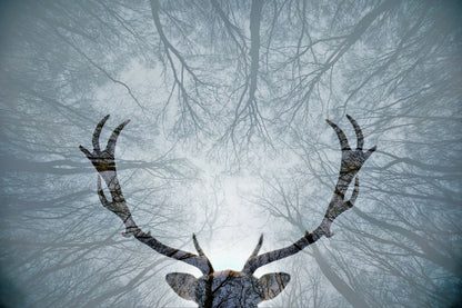 Antlers & Trees B&W Photograph Home Decor Premium Quality Poster Print Choose Your Sizes