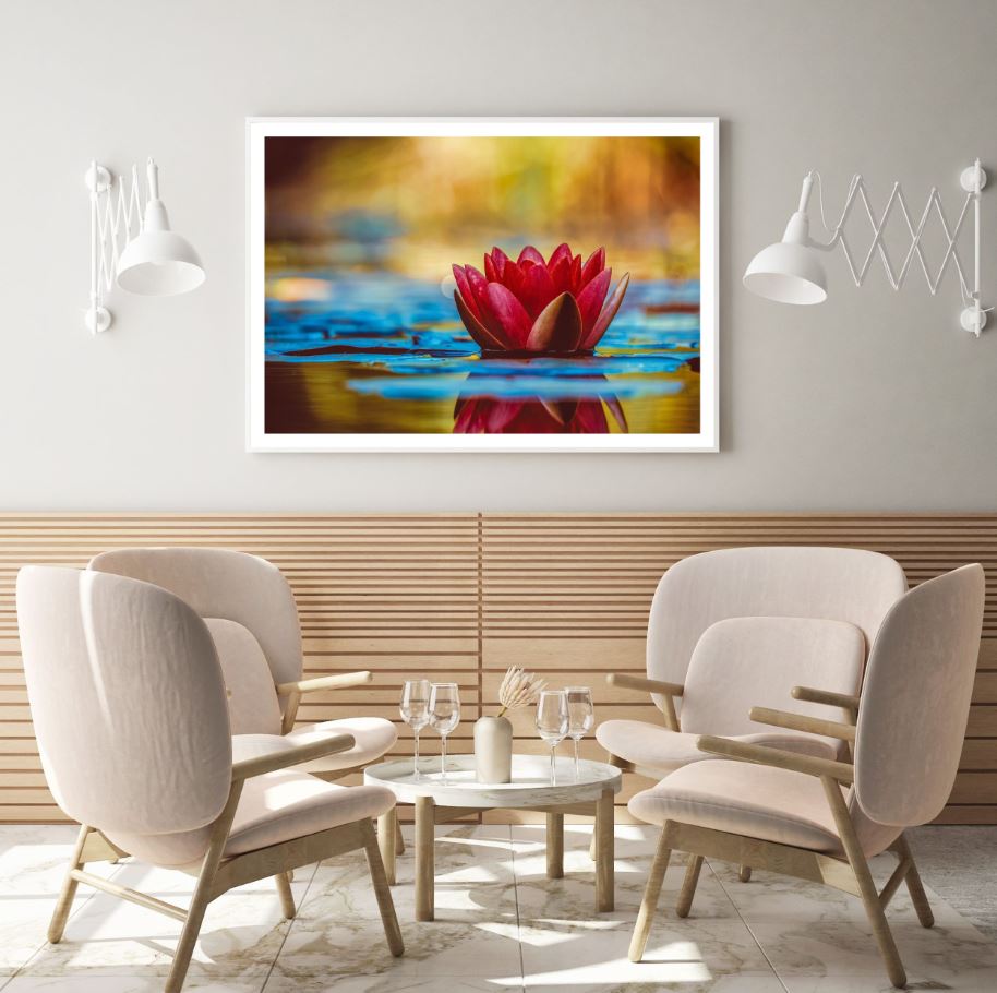 Lotus Flower on Water Photograph Home Decor Premium Quality Poster Print Choose Your Sizes