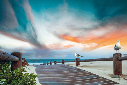 Stunning Beach View with Sea Gulls & Beautiful Sky Photograph Print 100% Australian Made