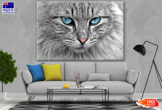 Cat Portrait with Blue Eyes Photograph Print 100% Australian Made