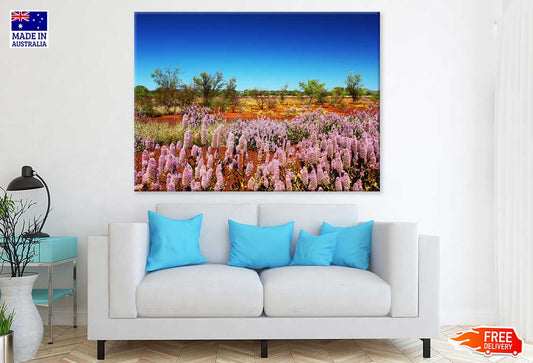 Pink Tasmanian Lavenders View Photograph Print 100% Australian Made
