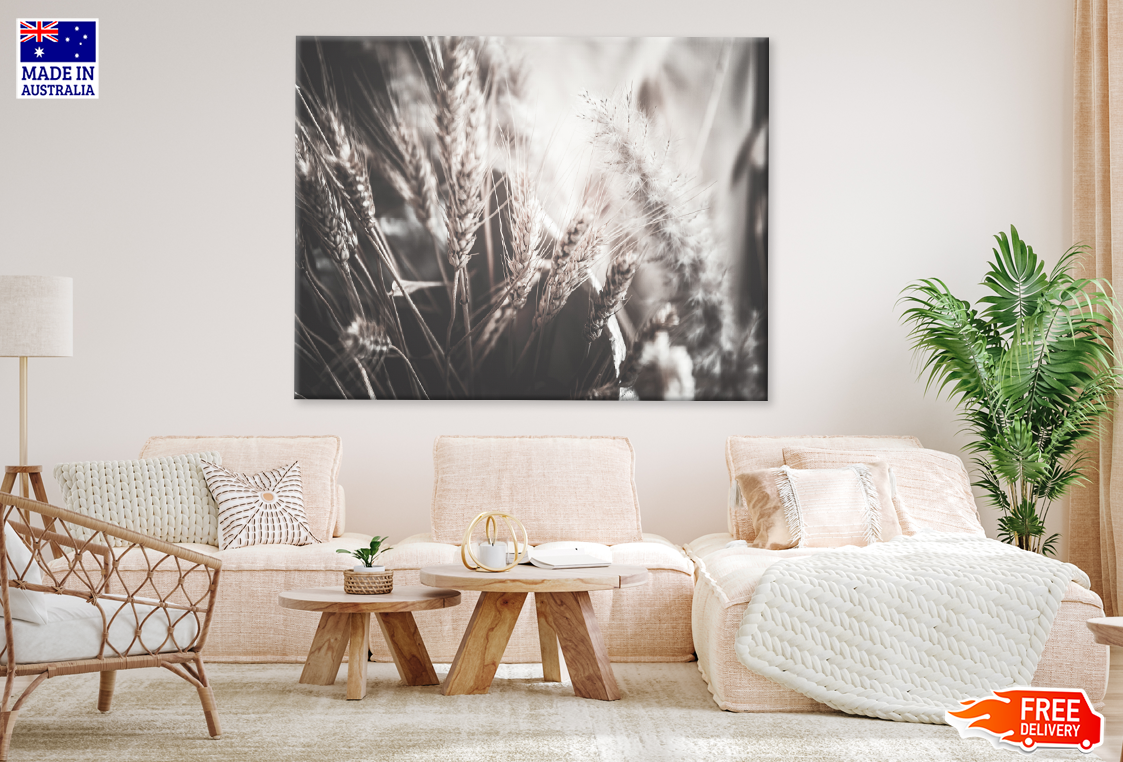 Closeup of Ripe Wheat Print 100% Australian Made