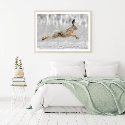 Rabbit Jumping Closeup Photograph Home Decor Premium Quality Poster Print Choose Your Sizes