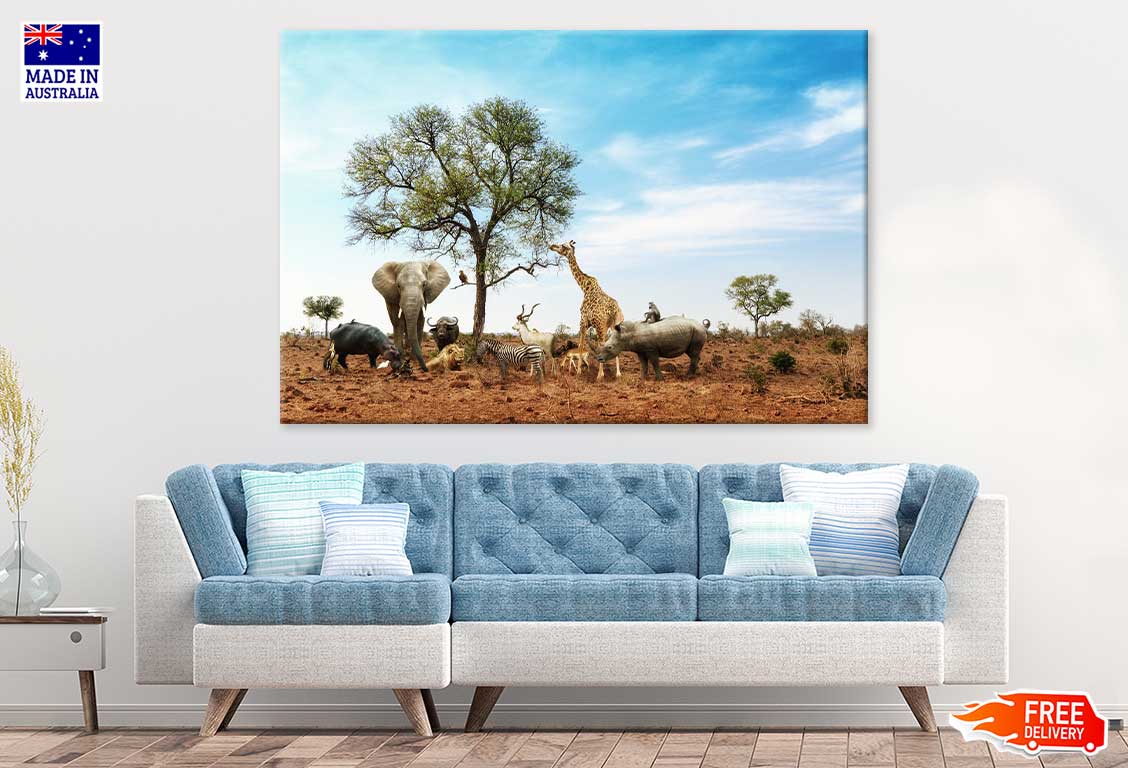 Animals in Kruger National Park Photograph Print 100% Australian Made