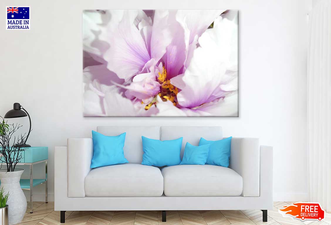 Pink Peony Flower Closeup View Photograph Print 100% Australian Made