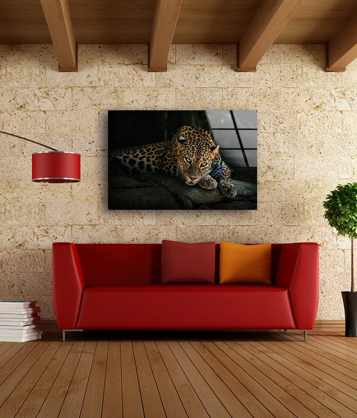 Leopard Closeup Photograph Acrylic Glass Print Tempered Glass Wall Art 100% Made in Australia Ready to Hang