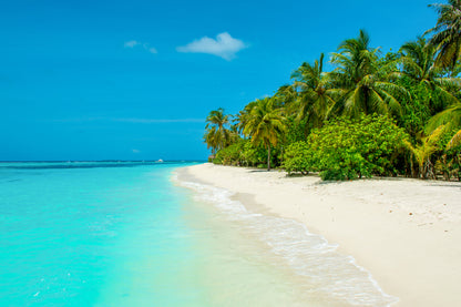 Sandy Beach View Maldives Island Photograph Home Decor Premium Quality Poster Print Choose Your Sizes