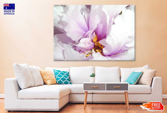 Pink Peony Flower Closeup View Photograph Print 100% Australian Made