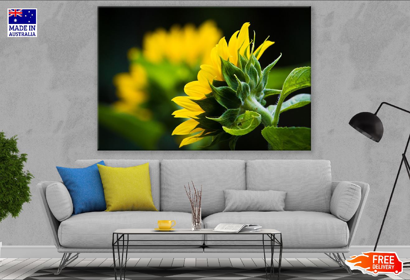 Back view Of Sunflower with Leaves Photograph Print 100% Australian Made
