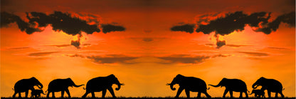 Panoramic Canvas Elephants Walking at Sunset Photograph High Quality 100% Australian Made Wall Canvas Print Ready to Hang