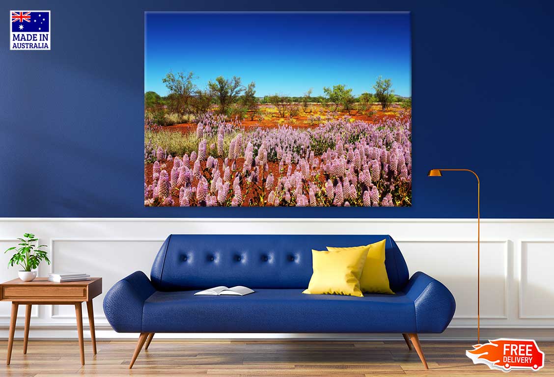 Pink Tasmanian Lavenders View Photograph Print 100% Australian Made
